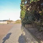 Near And Dunes * Oostduinkerke